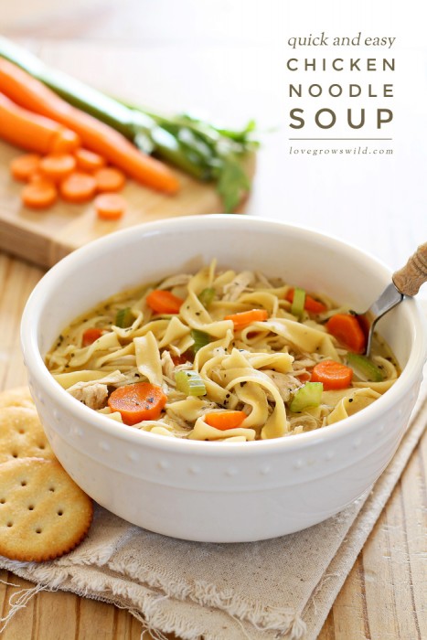 Quick and Easy Chicken Noodle Soup - Love Grows Wild