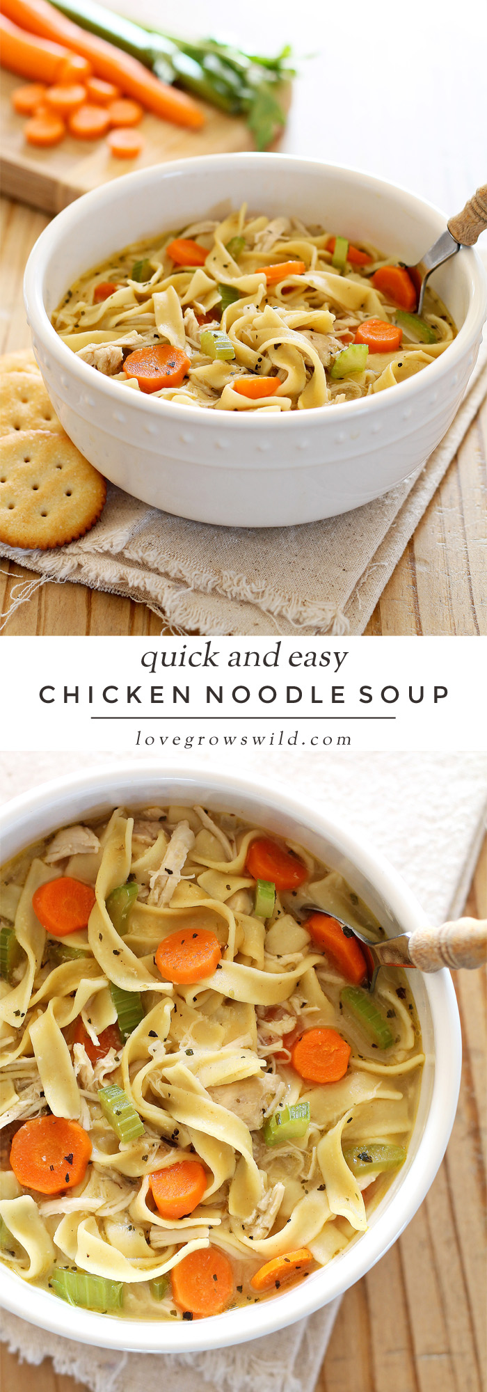 Quick and Easy Chicken Noodle Soup - Love Grows Wild