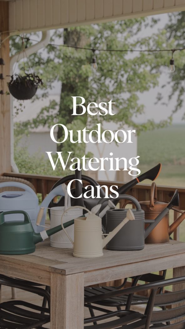 Best Outdoor Watering Cans Love Grows Wild