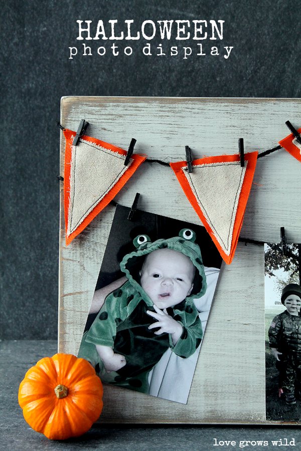 Halloween Photo Board Display