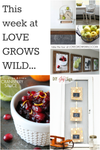 This week's projects and recipes from Love Grows Wild