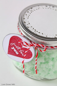 Homemade Mint Sugar Scrub - a great gift idea in a jar!