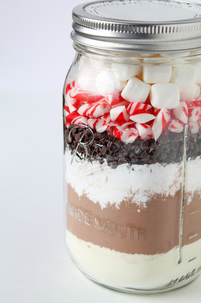 Homemade Hot Chocolate Mix - a great gift in a jar idea for the holidays!