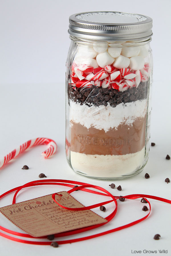 Homemade Hot Chocolate Mix - a great gift in a jar idea for the holidays!