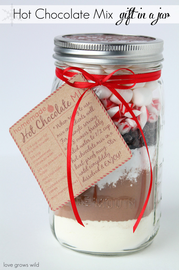 Homemade Hot Chocolate Mix in a Mason Jar - a perfect holiday gift idea!