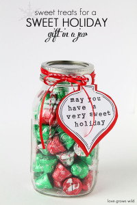 Sweet Treats for a Sweet Holiday Gift in a Jar- perfect idea for the holidays!