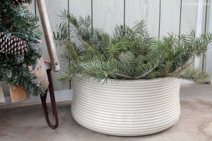 Plant evergreen branches in bare flower pots to decorate for winter!