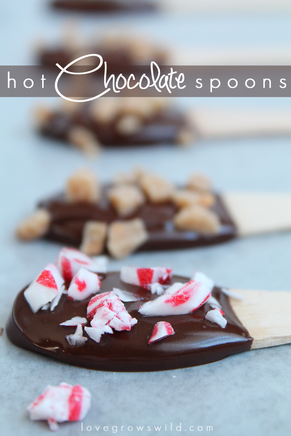 https://lovegrowswild.com/wp-content/uploads/2014/01/Hot-Chocolate-Spoons-final.png