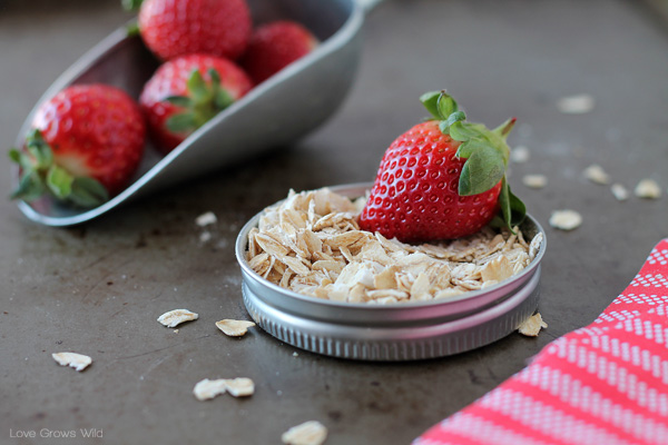 Strawberry Banana Oat Smoothie - Renee Nicole's Kitchen