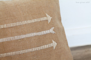 Easy Pillow Designs that anyone can do! | LoveGrowsWild.com