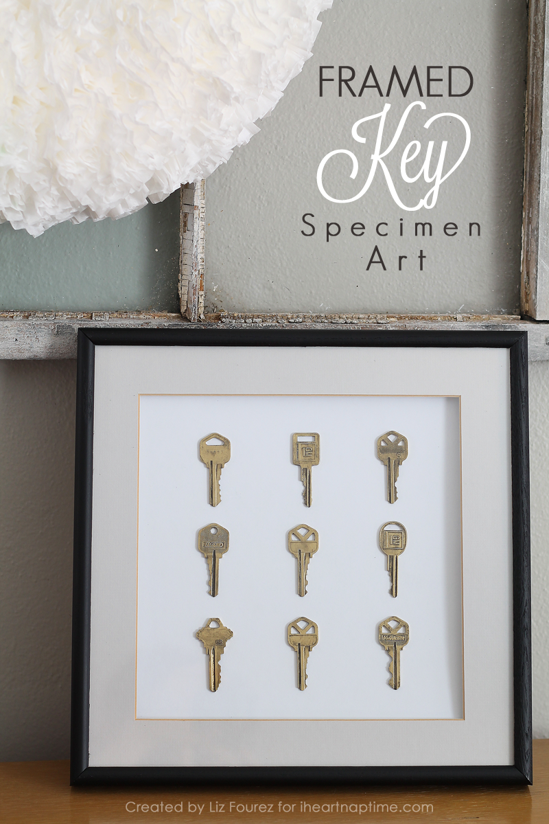 Framed Key Specimen Art | LoveGrowsWild.com