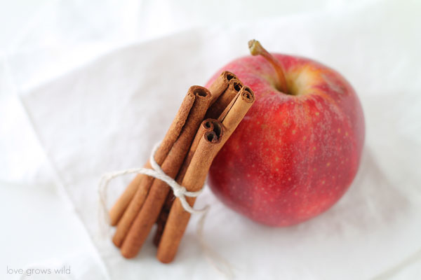 Apple Cinnamon Baked Oatmeal Love Grows Wild