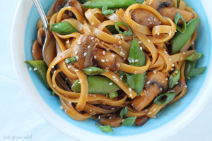 Have dinner on the table in LESS THAN 20 minutes! These Asian Noodles with Snow Peas and Mushrooms combine fresh, healthy ingredients and a flavorful homemade sauce in less time than it takes to boil the noodles! You MUST try this delicious Asian-inspired dish! LoveGrowsWild.com