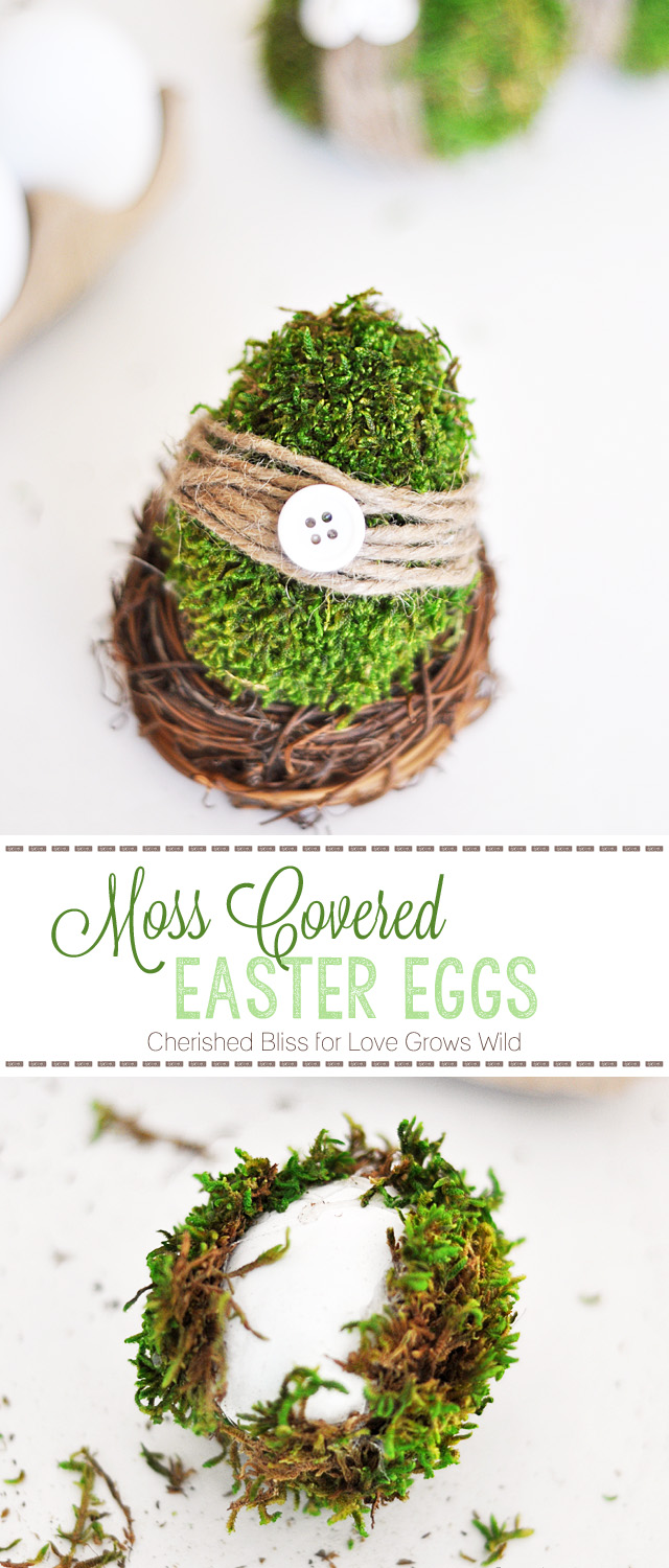 DIY Moss Covered Eggs