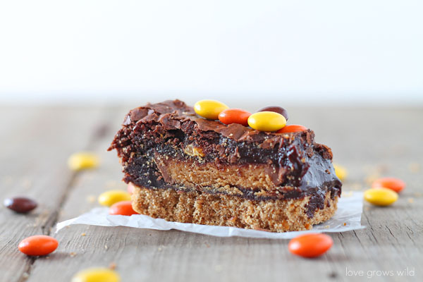 Reese's Stuffed Pretzel Brownies - Gooey chocolate brownies and a salty-sweet pretzel crust, stuffed with Reese's peanut butter cups and topped with Reese's pieces! A Reese's lover's dream! | LoveGrowsWild.com