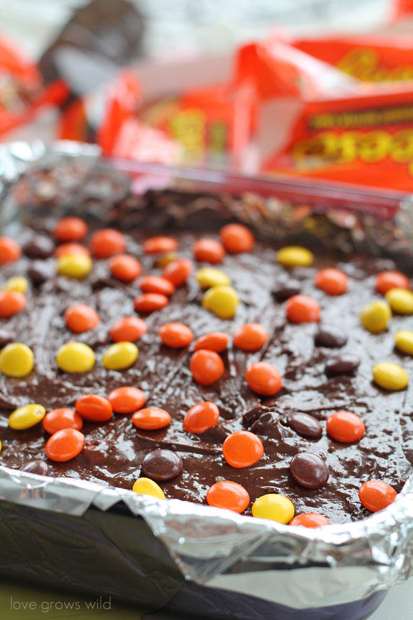 Reese's Stuffed Pretzel Brownies - Gooey chocolate brownies and a salty-sweet pretzel crust, stuffed with Reese's peanut butter cups and topped with Reese's pieces! A Reese's lover's dream! | LoveGrowsWild.com