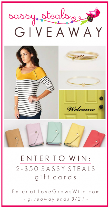 We're giving away TWO $50 gift cards to Sassy Steals! Enter to win at LoveGrowsWild.com