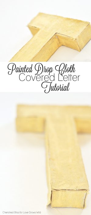 Painted Drop Cloth Covered Letter Tutorial | LoveGrowsWild.com
