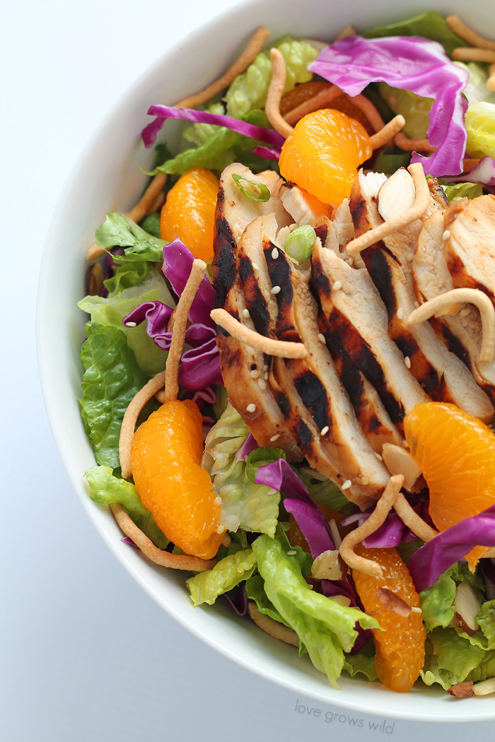 Asian Chicken Salad Love Grows Wild