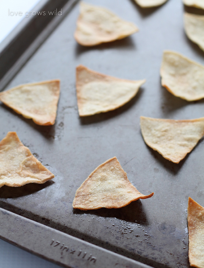 Easy, homemade Baked Tortilla Chips! Perfect for dips, salsa, and guacamole! | LoveGrowsWild.com