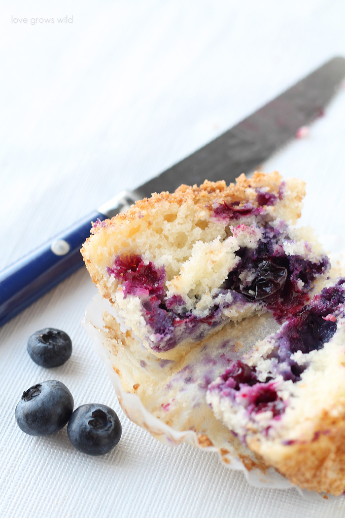 The BEST Blueberry Muffin recipe! These muffins are light, fluffy, and bursting with berry flavor! | LoveGrowsWild.com