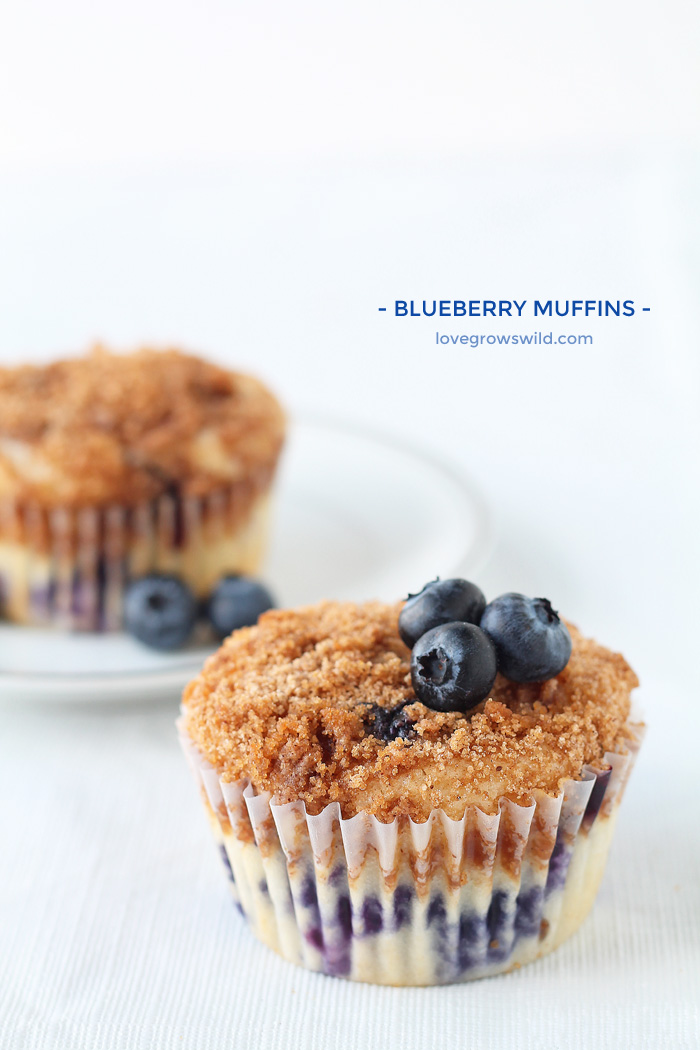 The BEST Blueberry Muffin recipe! These muffins are light, fluffy, and bursting with berry flavor! | LoveGrowsWild.com