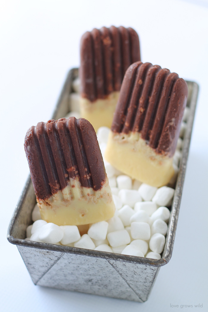 This recipe turns a favorite summertime snack into a delicious frozen treat! Learn how to make S'mores Popsicles at LoveGrowsWild.com