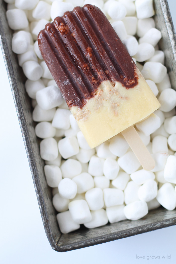 This recipe turns a favorite summertime snack into a delicious frozen treat! Learn how to make S'mores Popsicles at LoveGrowsWild.com