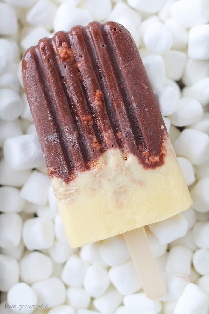 This recipe turns a favorite summertime snack into a delicious frozen treat! Learn how to make S'mores Popsicles at LoveGrowsWild.com