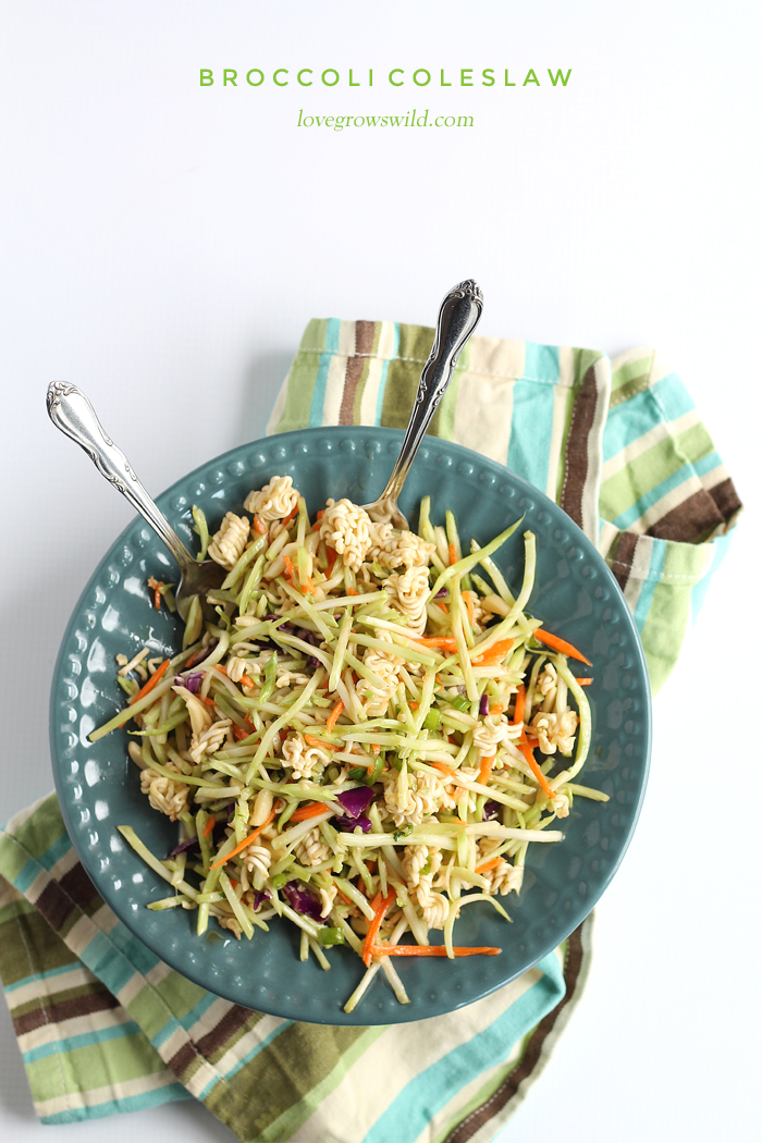 Broccoli Coleslaw - this unique coleslaw recipe might just be the best you've ever eaten! A must-try at your next party or potluck! | LoveGrowsWild.com