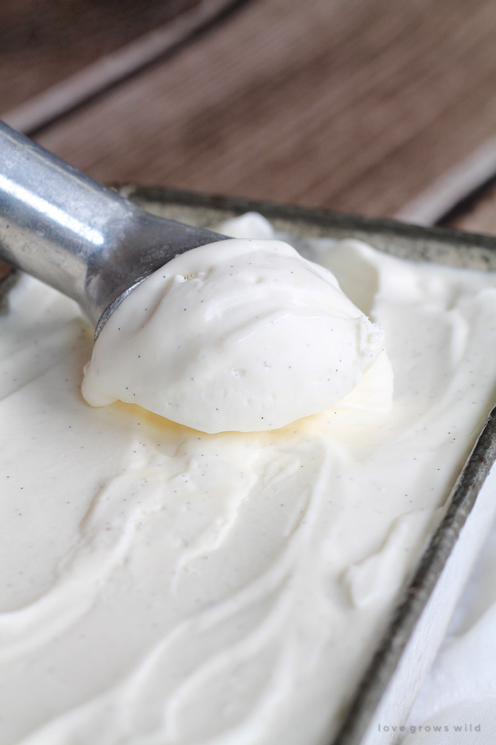 No-Churn Vanilla Ice Cream - Love Grows Wild