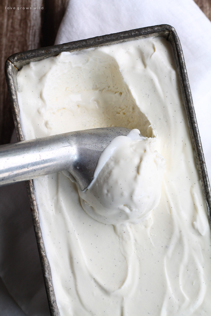 No-Churn Vanilla Ice Cream - Love Grows Wild