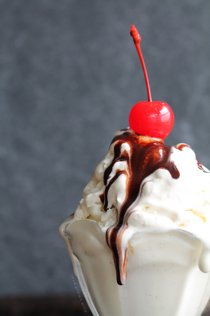 No Churn Vanilla Ice Cream Recipe (3 Ingredients!) - Dinner, then