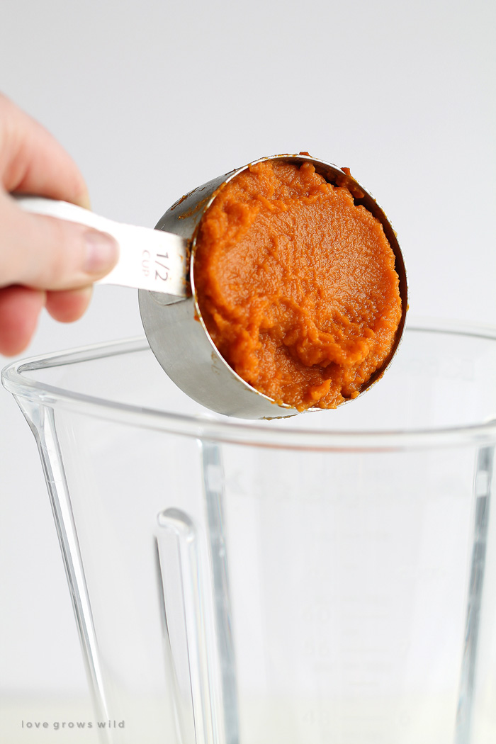 Turn your protein shake into a delicious pumpkin treat! Healthy, satisfying, and super tasty! | LoveGrowsWild.com