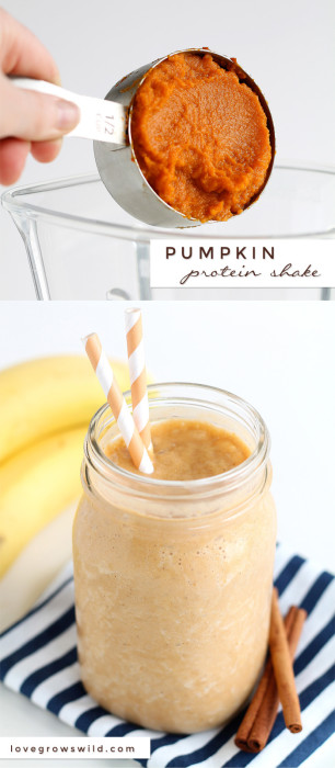 Turn your protein shake into a delicious pumpkin treat! Healthy, satisfying, and super tasty! | LoveGrowsWild.com
