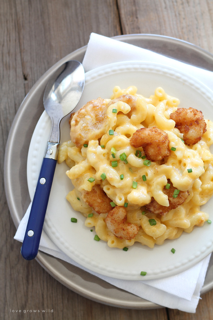 Three Cheese Shrimp Macaroni and Cheese - Love Grows Wild