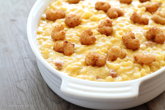 Three Cheese Shrimp Macaroni and Cheese - Creamy, cheesy comfort food made with three different cheeses and little bites of popcorn shrimp! | LoveGrowsWild.com