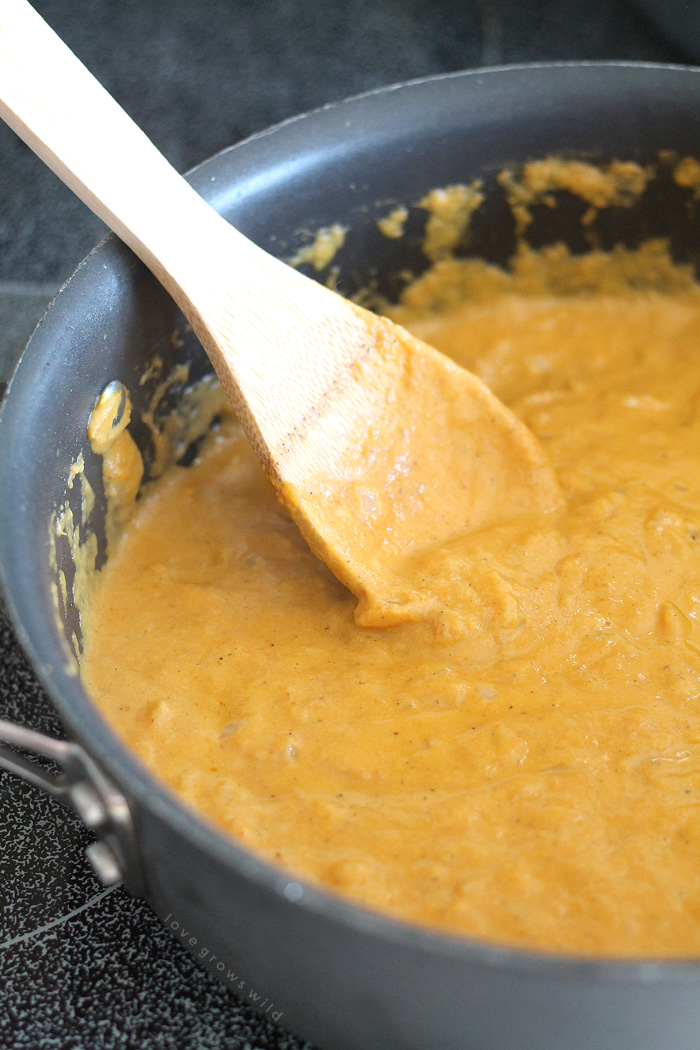 Pumpkin isn't just for dessert anymore! This Cheesy Pumpkin Pasta Bake is super creamy and SO delicious! | LoveGrowsWild.com