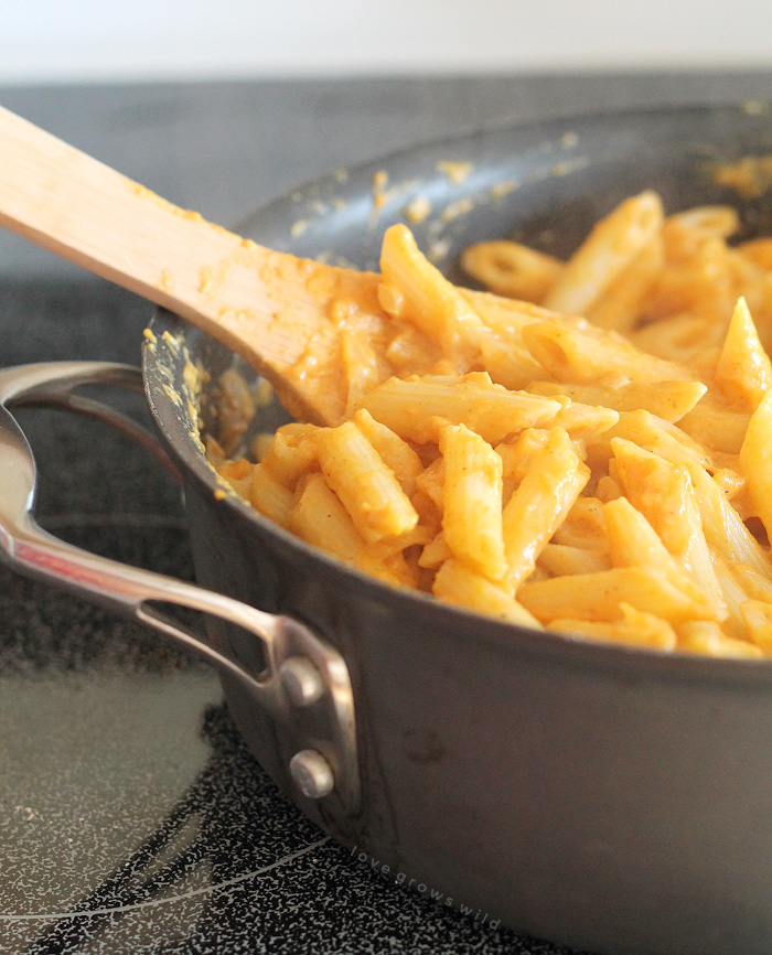 Pumpkin isn't just for dessert anymore! This Cheesy Pumpkin Pasta Bake is super creamy and SO delicious! | LoveGrowsWild.com