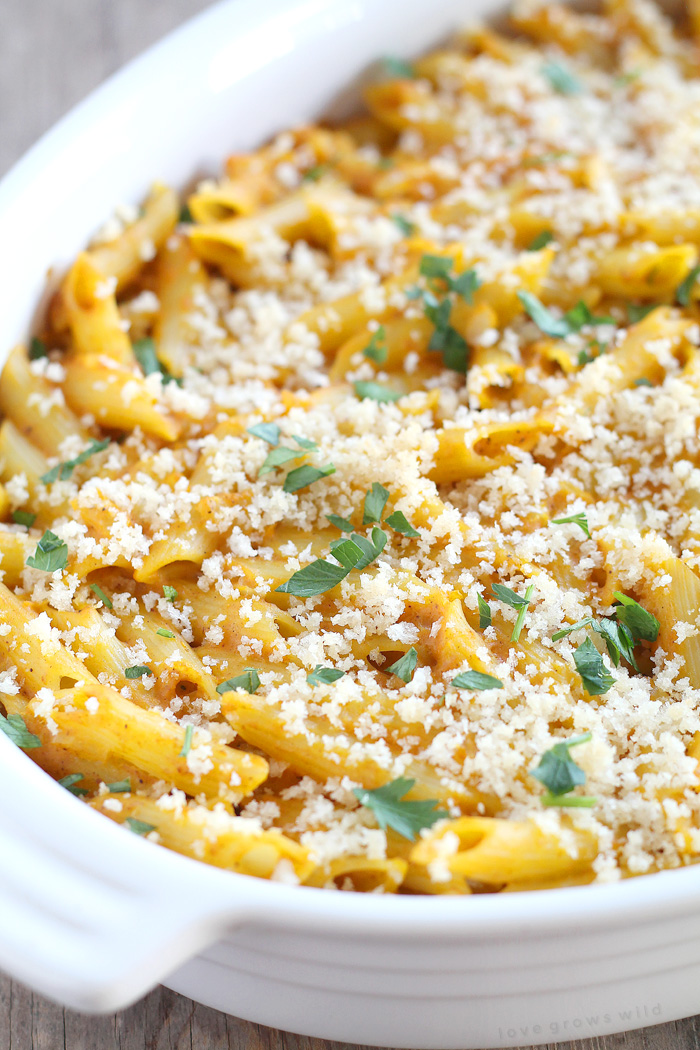 Pumpkin isn't just for dessert anymore! This Cheesy Pumpkin Pasta Bake is super creamy and SO delicious! | LoveGrowsWild.com