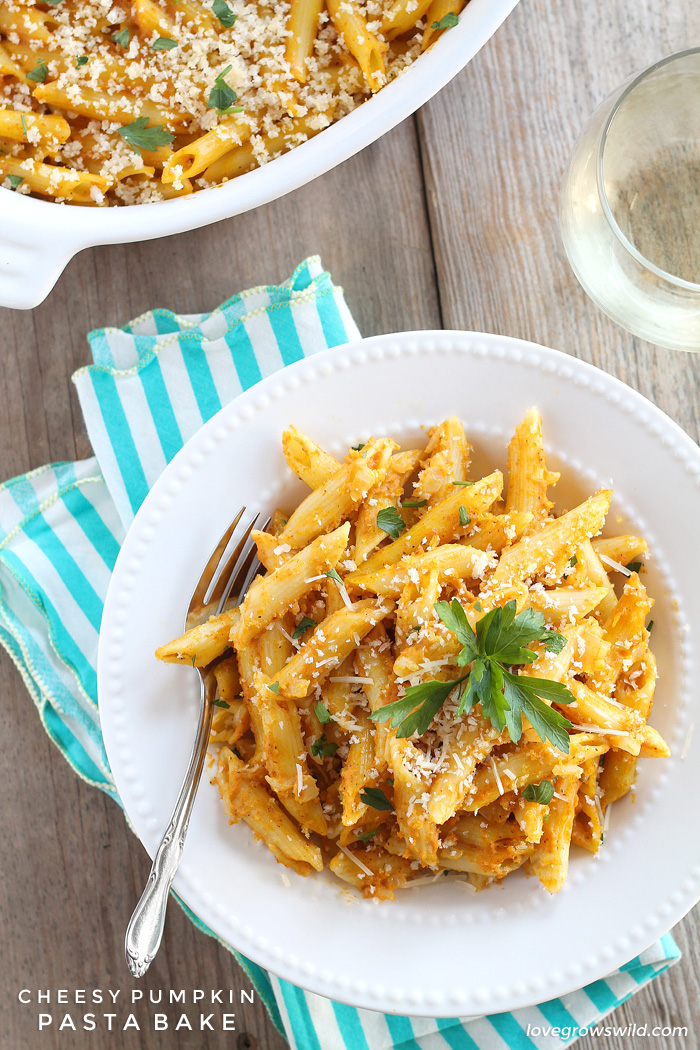 Pumpkin isn't just for dessert anymore! This Cheesy Pumpkin Pasta Bake is super creamy and SO delicious! | LoveGrowsWild.com