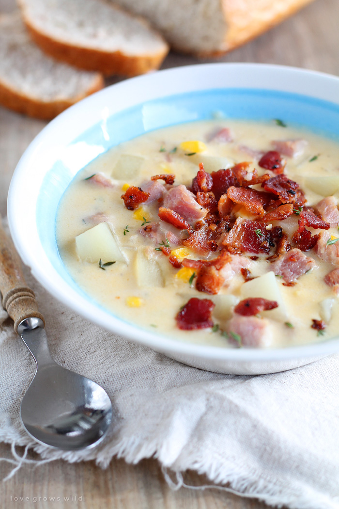 This Ham and Potato Chowder is the perfect comfort food meal! It's warm, hearty, and so satisfying! Get the recipe at LoveGrowsWild.com