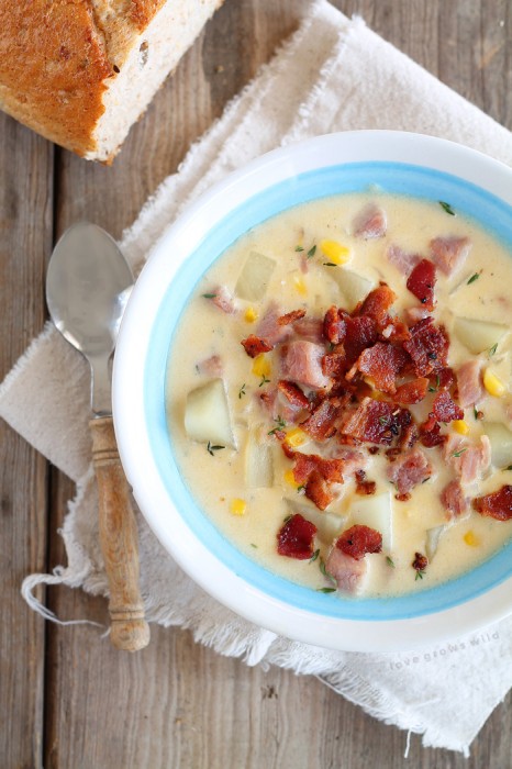 This Ham and Potato Chowder is the perfect comfort food meal! It's warm, hearty, and so satisfying! Get the recipe at LoveGrowsWild.com