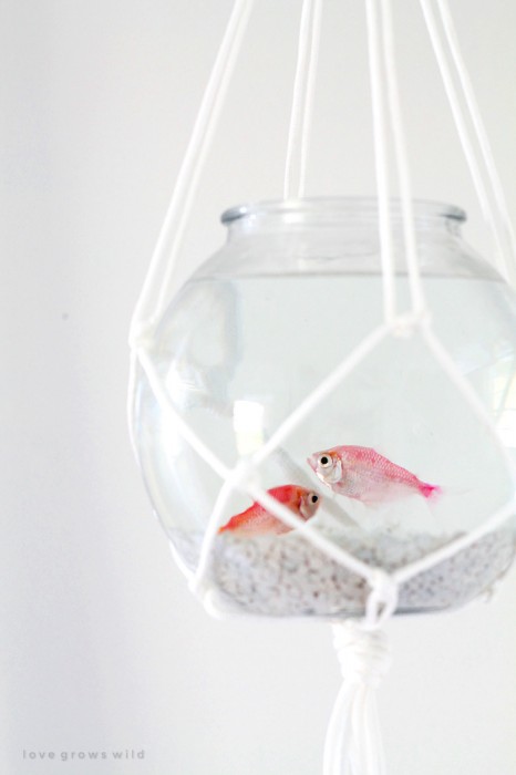Hang a fish bowl from the ceiling with this awesome macrame hanger! Give your fish a stylish home and save table space! Step-by-step details at LoveGrowsWild.com