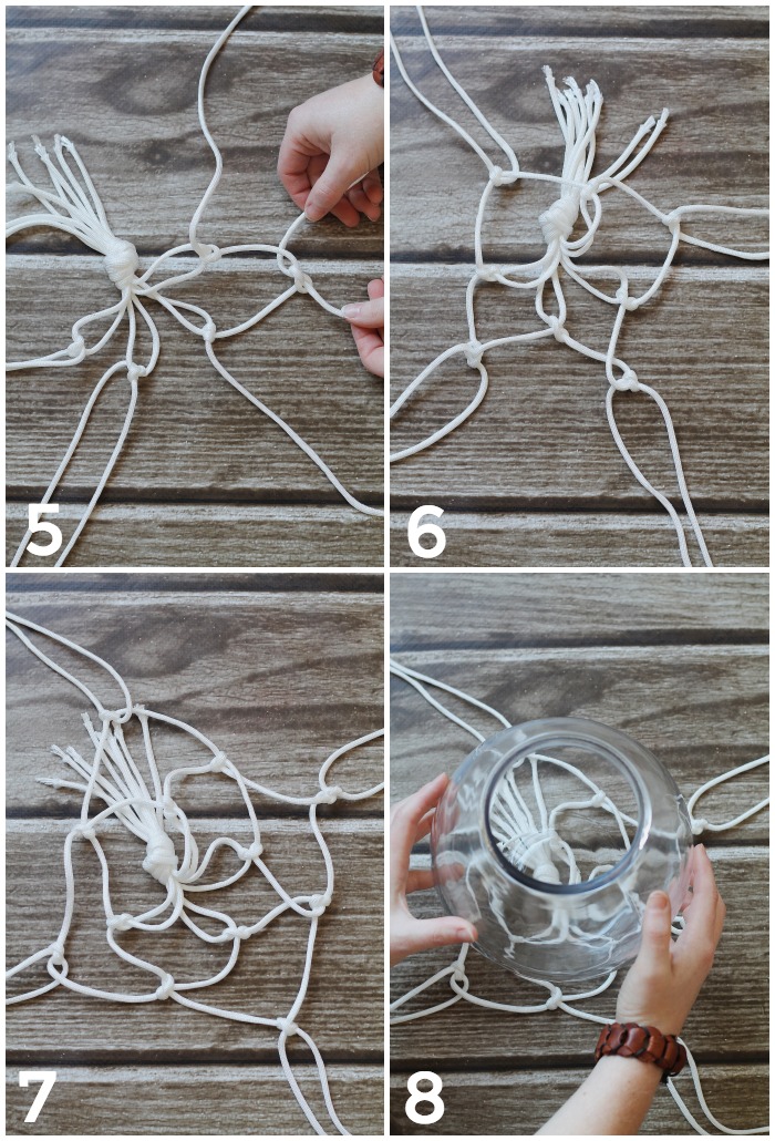 DIY Hanging Fish Planter