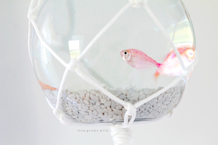 Hanging Macrame Fish Bowl - Love Grows Wild