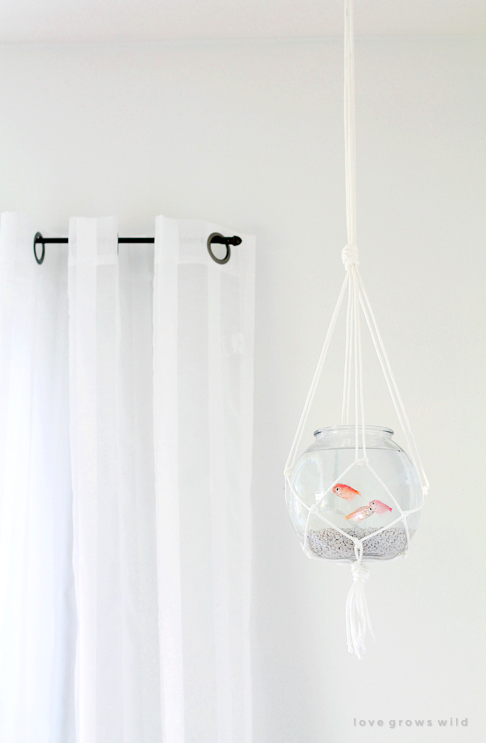 Hanging Macrame Fish Bowl Love Grows Wild - How To Hang Things From Ceiling