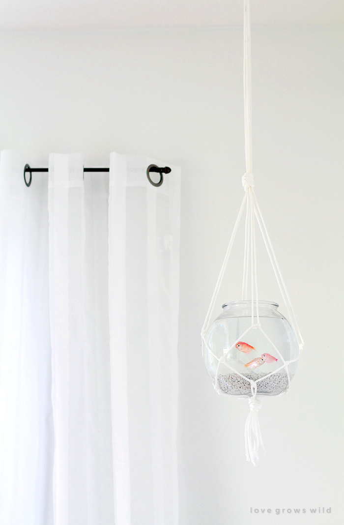 Hanging Macrame Fish Bowl Love Grows Wild