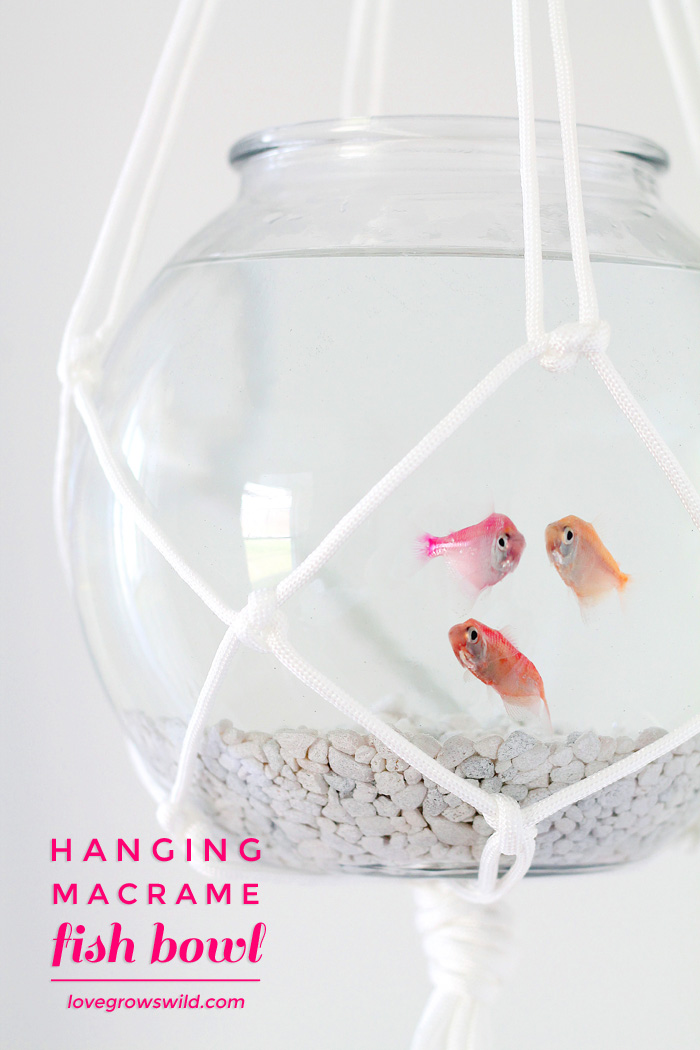 Hanging Macrame Fish Bowl - Love Grows Wild