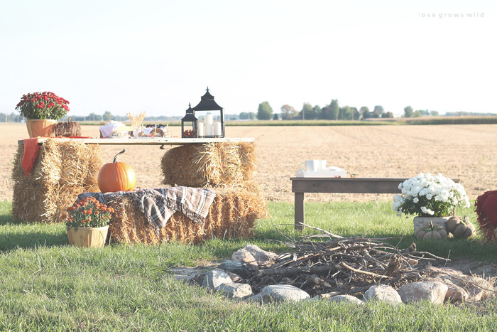 Host a cozy fall bonfire with these decorating tips from LoveGrowsWild.com!